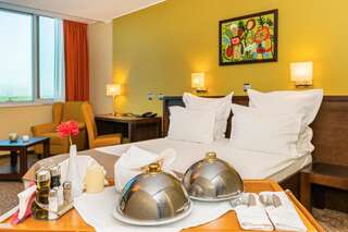 Отель Vega Hotel Галац Business Double Room with Danube View-4